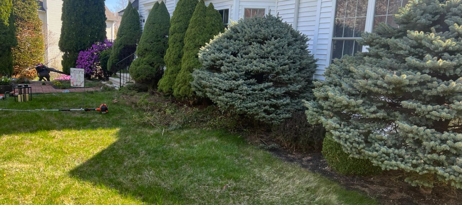 Expert care for beautiful outdoor spaces