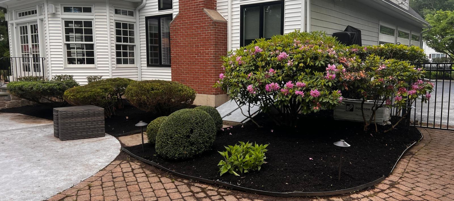 Expert care for beautiful outdoor spaces