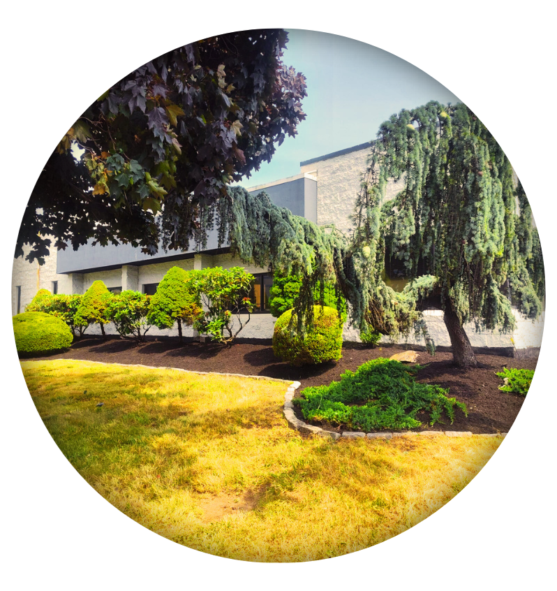 Alt Tag for image about us image